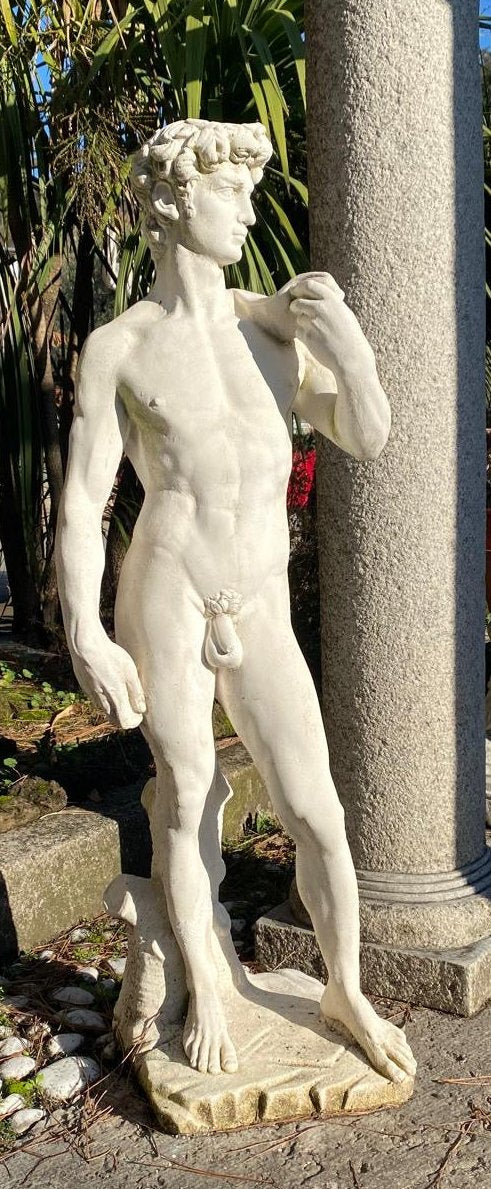 DAVID H 118