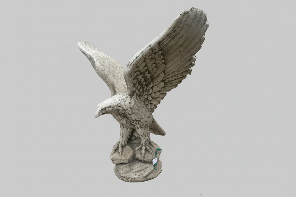 AQUILA REALE ANT