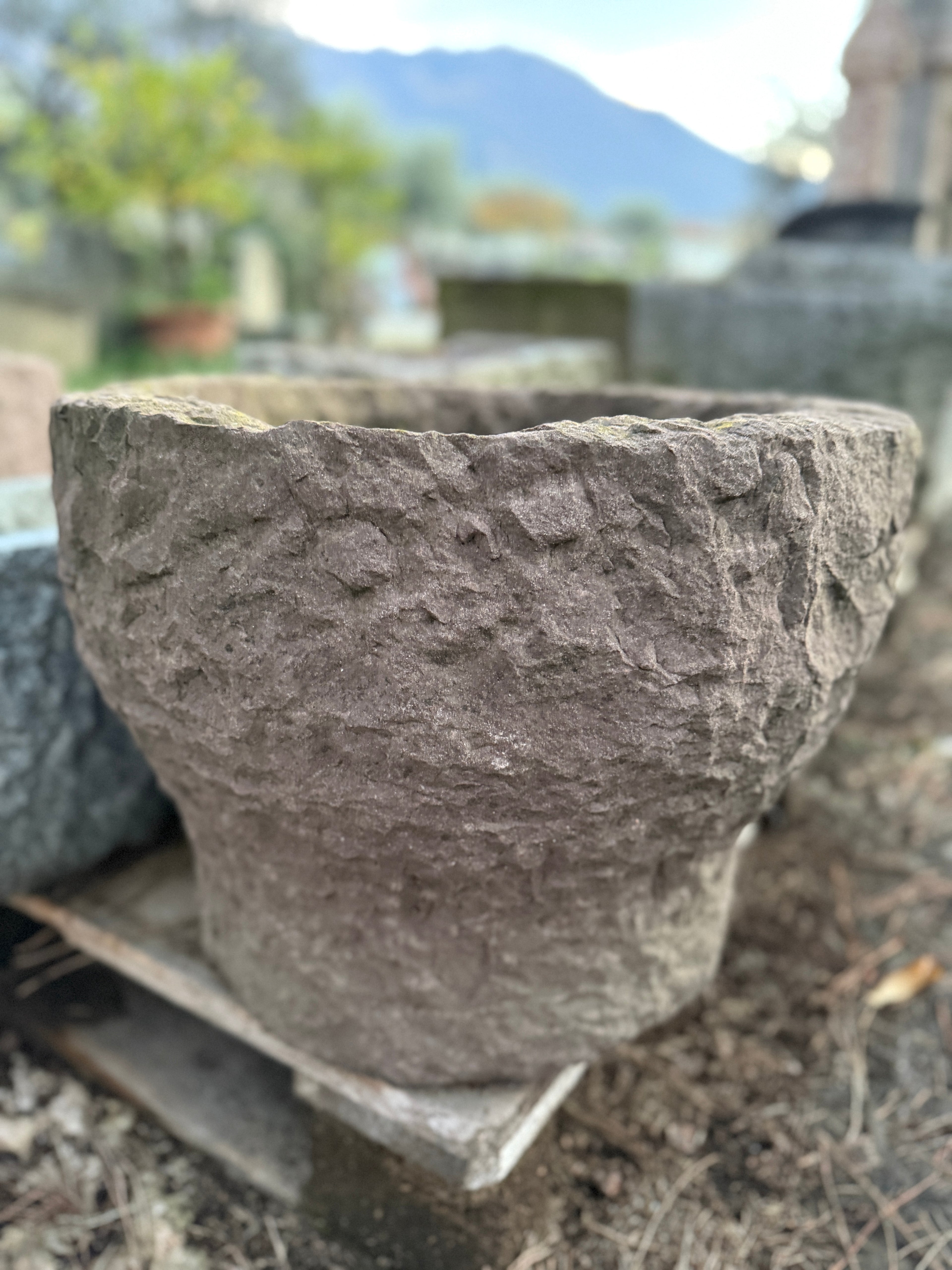 VASO ARENARIA