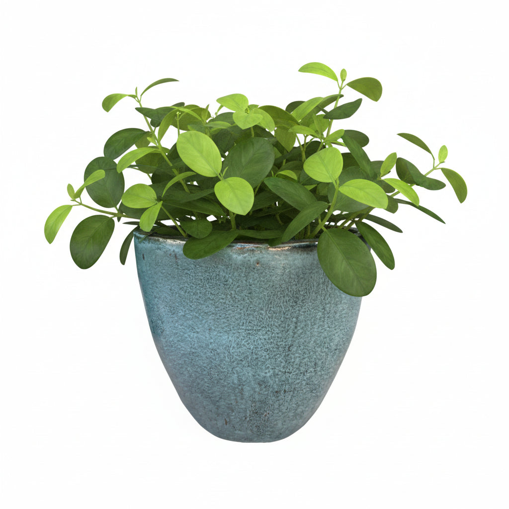 VASO BUDAPEST BLOSSOMED D24 H23