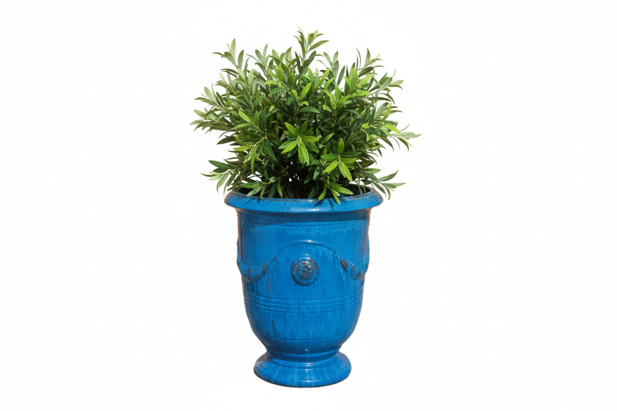 VASO ANDUZE BLU 54X50