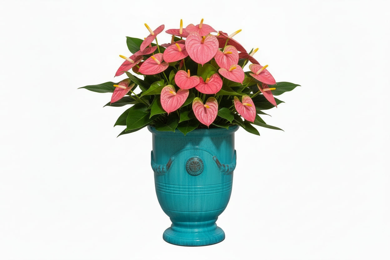 VASO ANDUZE GIADA 42X36