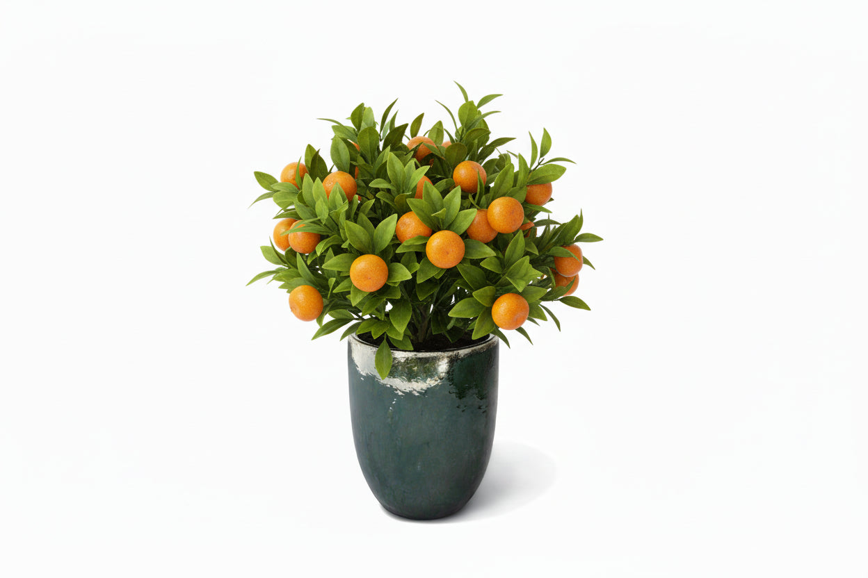 BAKU GREEN CM 55