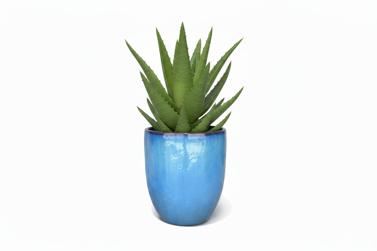 VASO BAKU GIADA 44X54