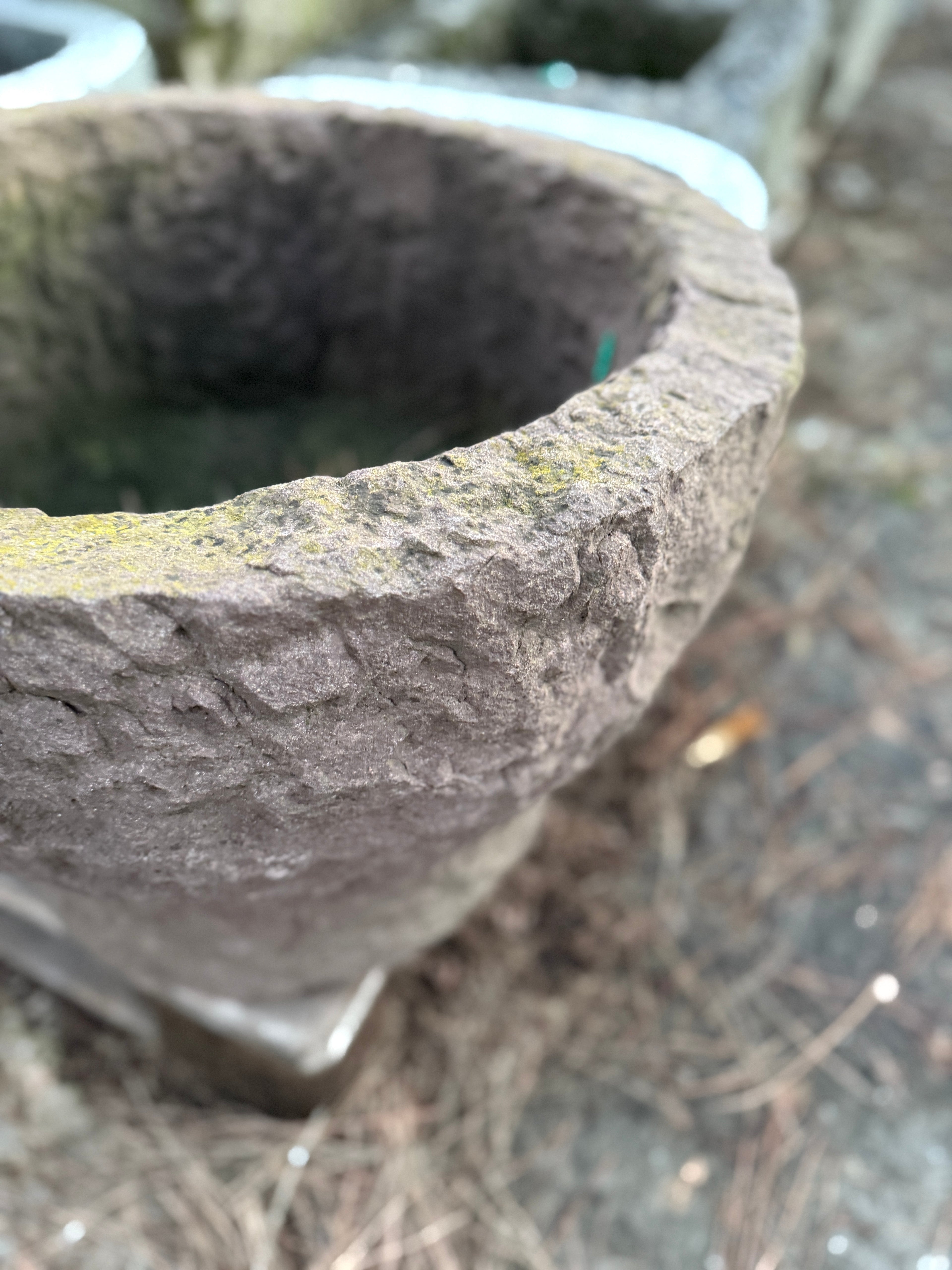 VASO ARENARIA