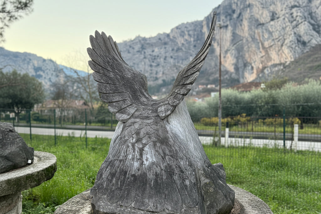 AQUILA ALI 105 BASE 110