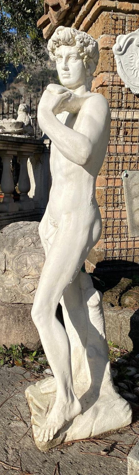 DAVID H 118