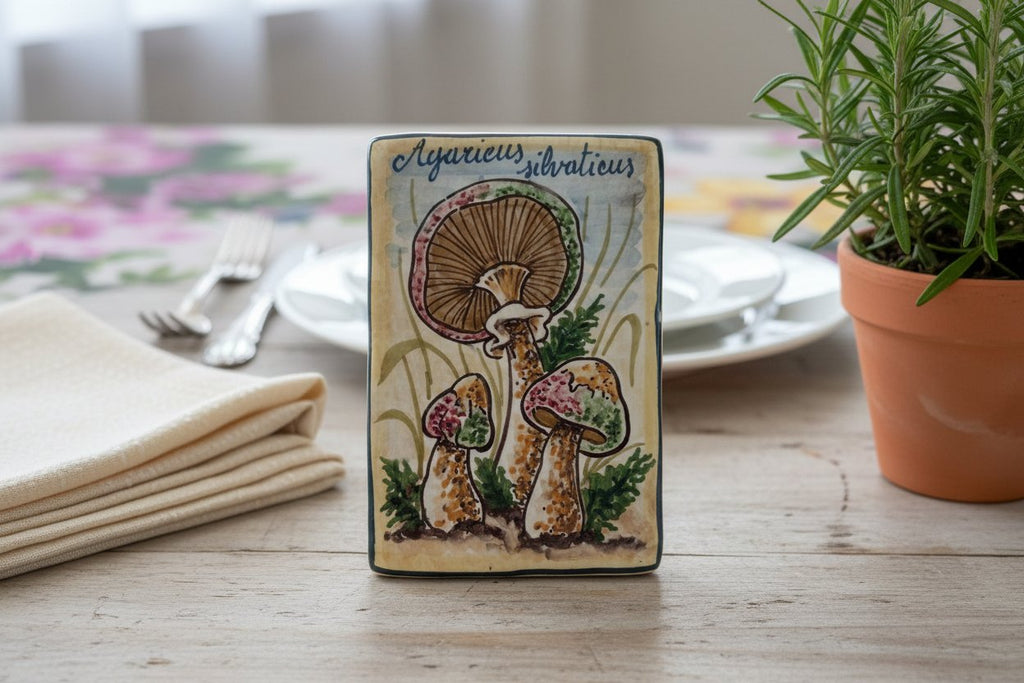 MATTONELLA ERBE E FUNGHI