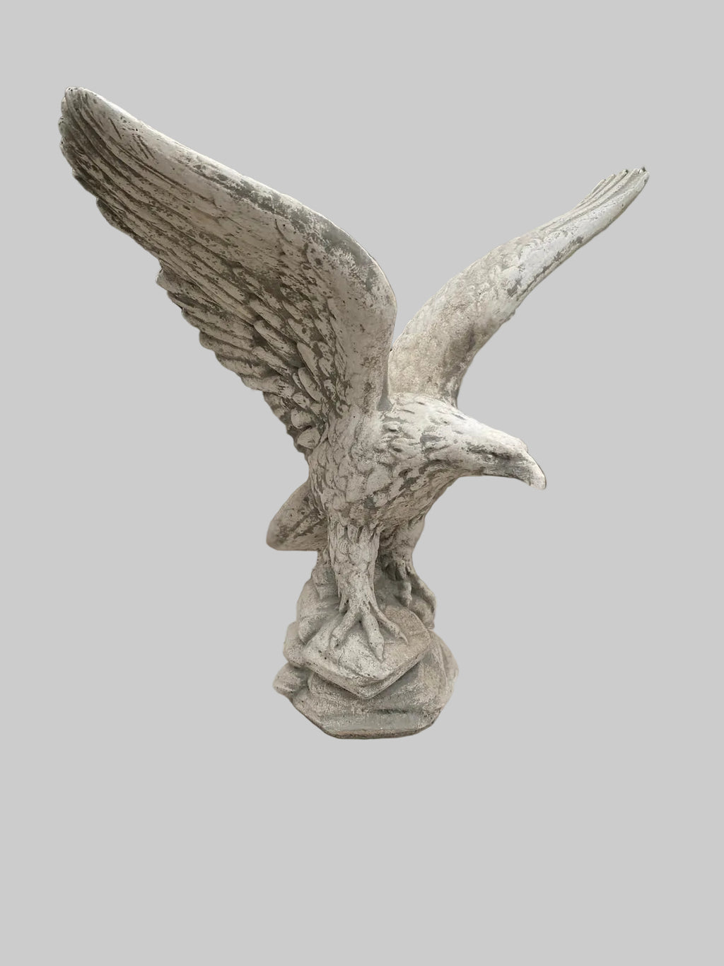 AQUILA REALE ANT