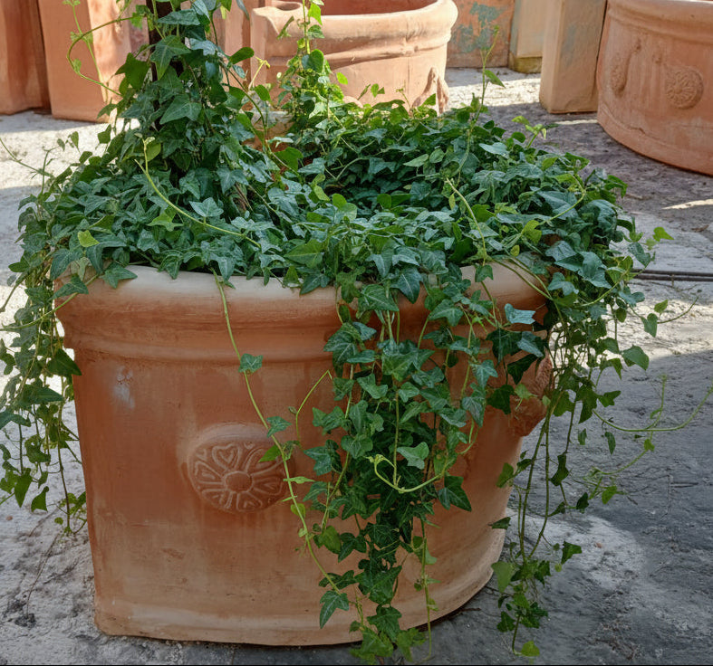 VASO A PARETE FESTONATO