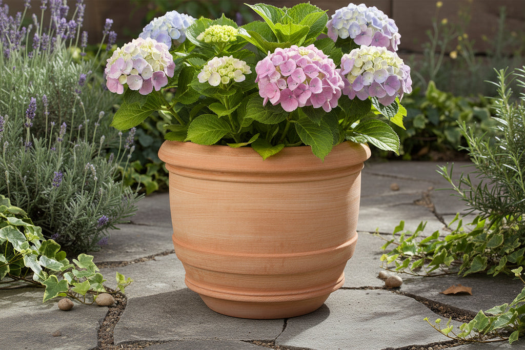 VASO BARILE LISCIO CM 50