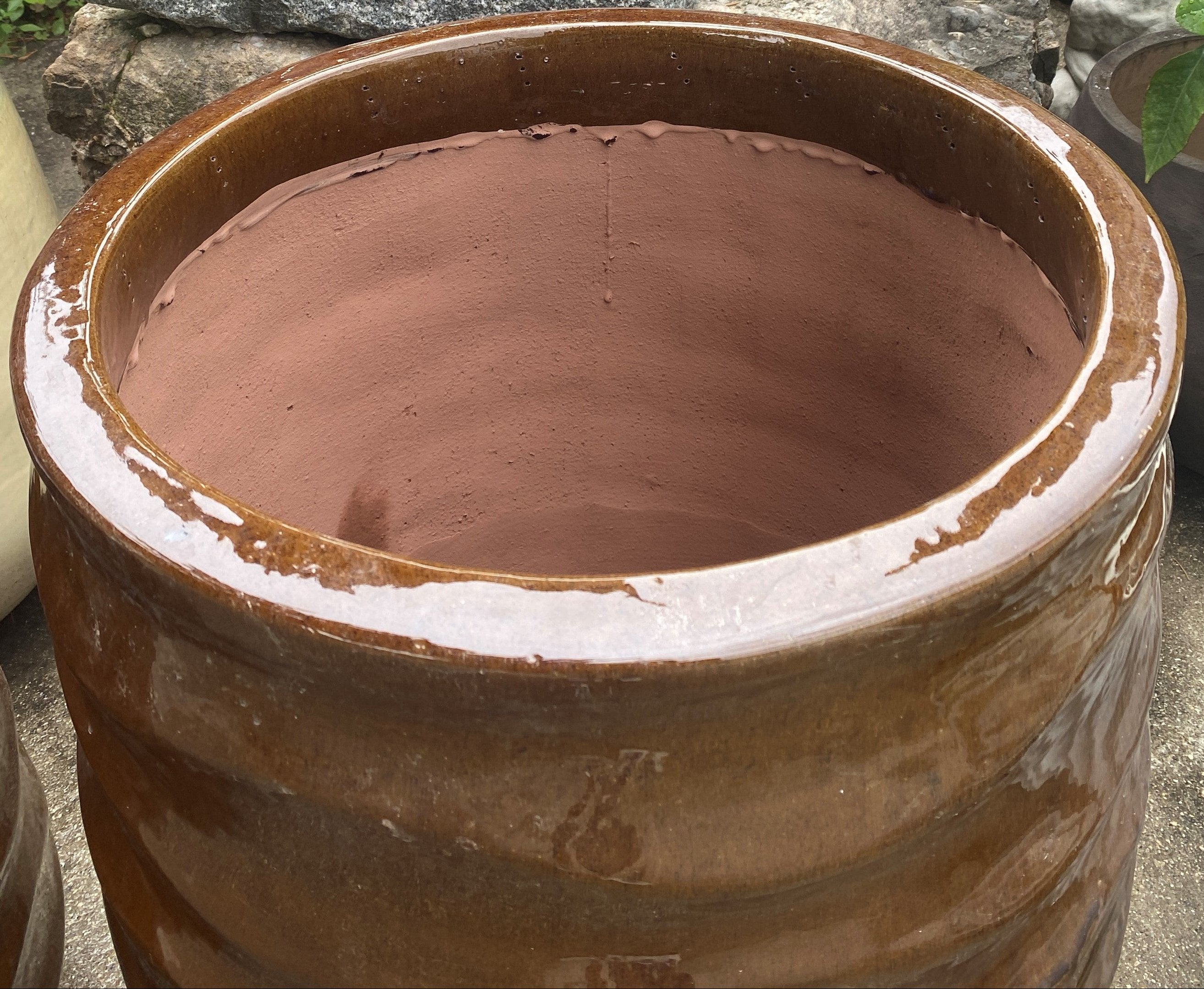 VASO ONDA FALLING MUSTARD D52 H64