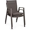 SEDIA C/BRACC PELAGIUS COFFEE